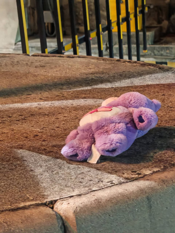 港珠澳口岸驚見Care Bears跌落路面！熱心港爸一原因執起尋主。（圖片來源：Facebook@港車北上自駕遊同樂會）