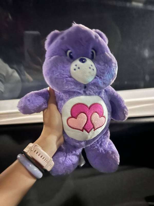 港珠澳口岸驚見Care Bears跌落路面！熱心港爸一原因執起尋主。（圖片來源：Facebook@港車北上自駕遊同樂會）