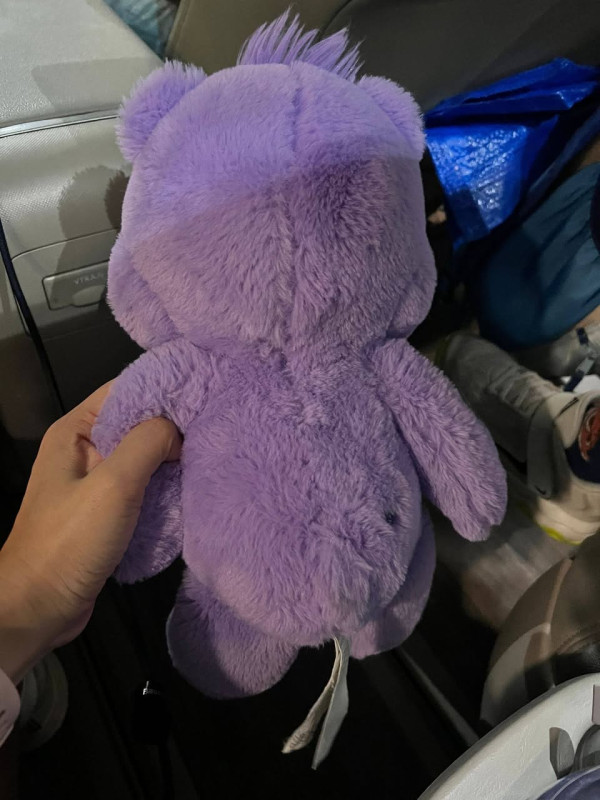 港珠澳口岸驚見Care Bears跌落路面！熱心港爸一原因執起尋主。（圖片來源：Facebook@港車北上自駕遊同樂會）