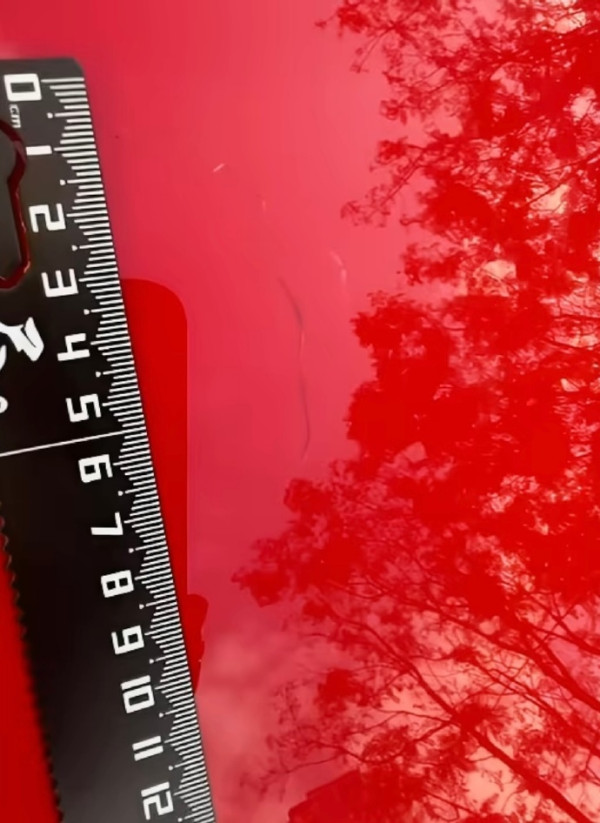 360萬法拉利被4內地童當滑梯狂刮 車主特意平整修復費近3萬 家長僅賠呢個數掀熱議