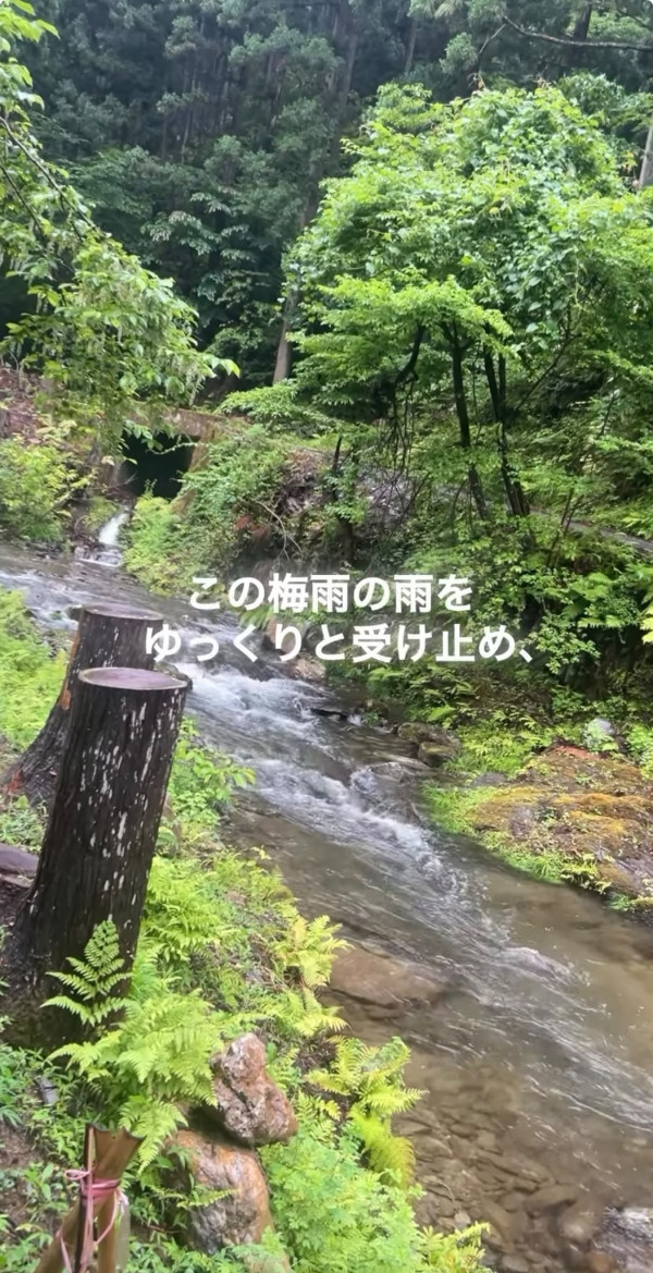 照片來源:Instagram@nuigurumi_jinja 照片來源:Instagram@nuigurumi_jinja