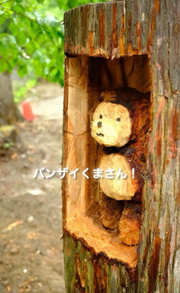 照片來源:Instagram@nuigurumi_jinja 照片來源:Instagram@nuigurumi_jinja