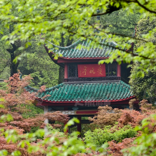 圖片來源:大航假期 長沙高鐵純玩旅行團3大推介!全程入住5星酒店、嚐新派湘菜、長沙街頭Citywalk