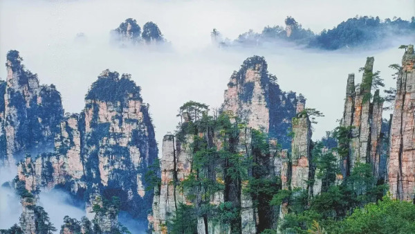 圖片來源:wingontravel 長沙高鐵純玩旅行團3大推介!全程入住5星酒店、嚐新派湘菜、長沙街頭Citywalk