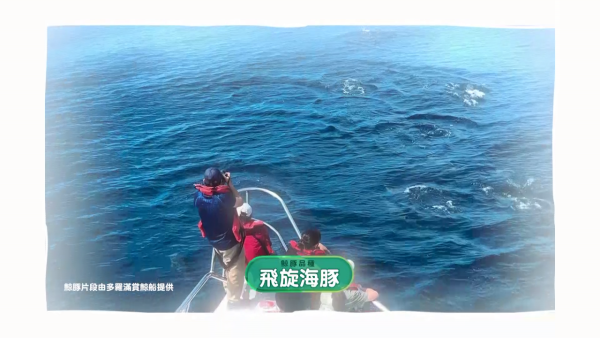 自然系女子旅行3|黄婧灵首度穿比基尼出镜解禁深沟!地狱式激减3kg泳衣浸浴画面震撼