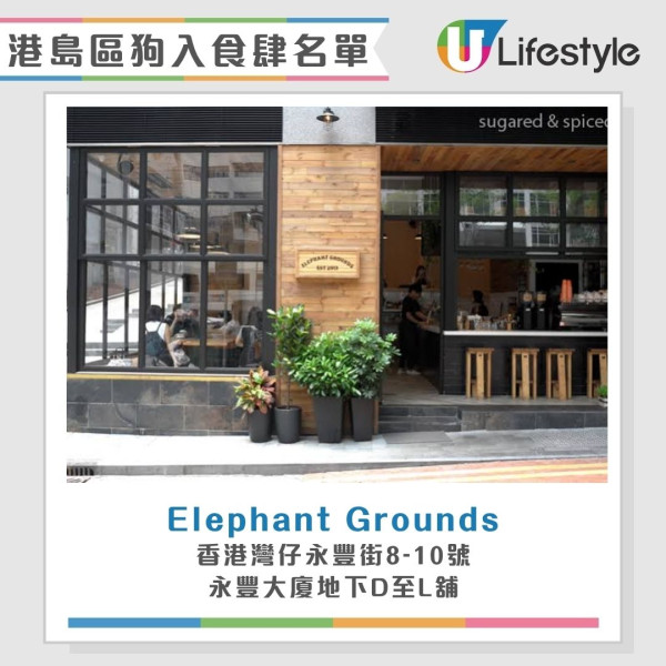 狗食肆名單︱全港首批狗隻准入餐廳7.9起陸續放寬 大家樂/華星冰室/意粉屋榜上有名！