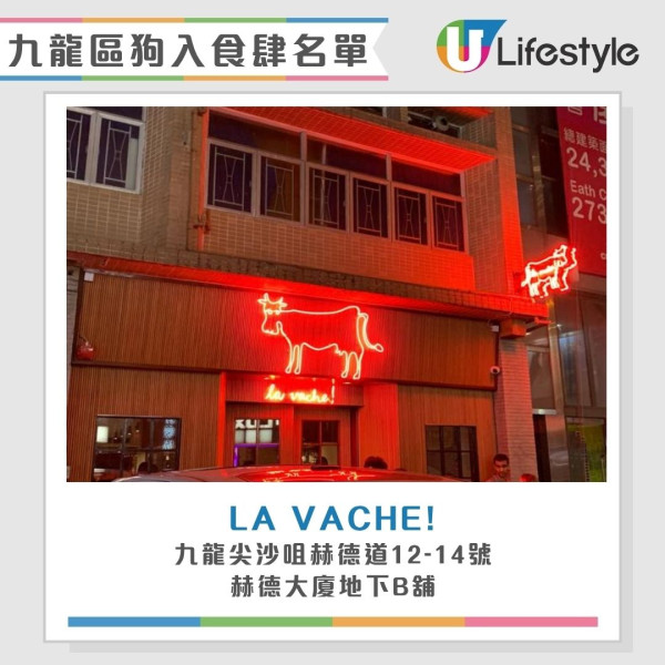 狗食肆名單︱全港首批狗隻准入餐廳7.9起陸續放寬 大家樂/華星冰室/意粉屋榜上有名！
