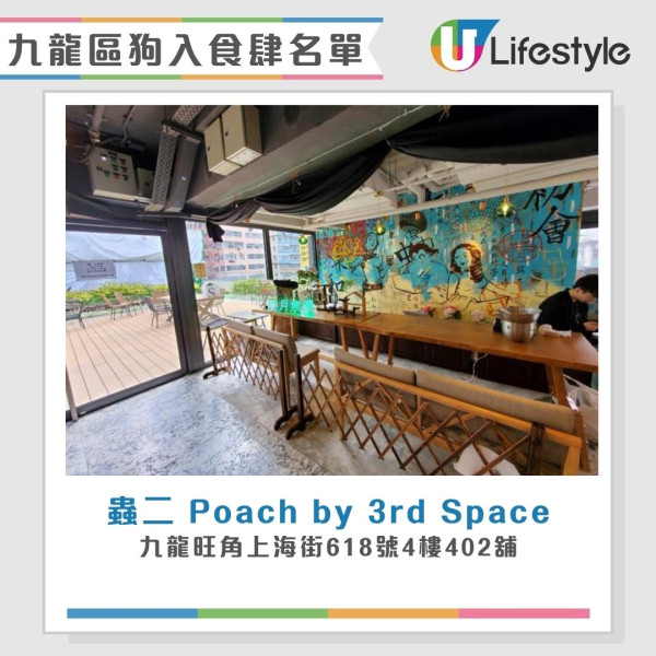 狗食肆名單︱全港首批狗隻准入餐廳7.9起陸續放寬 大家樂/華星冰室/意粉屋榜上有名！