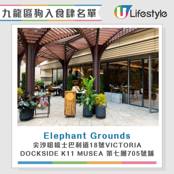 狗食肆名單︱全港首批狗隻准入餐廳7.9起陸續放寬 大家樂/華星冰室/意粉屋榜上有名！