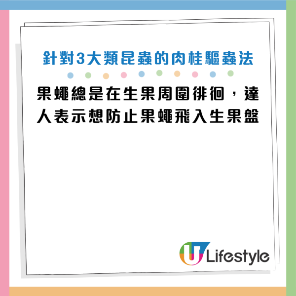 圖片資料來源：《Dengarden》