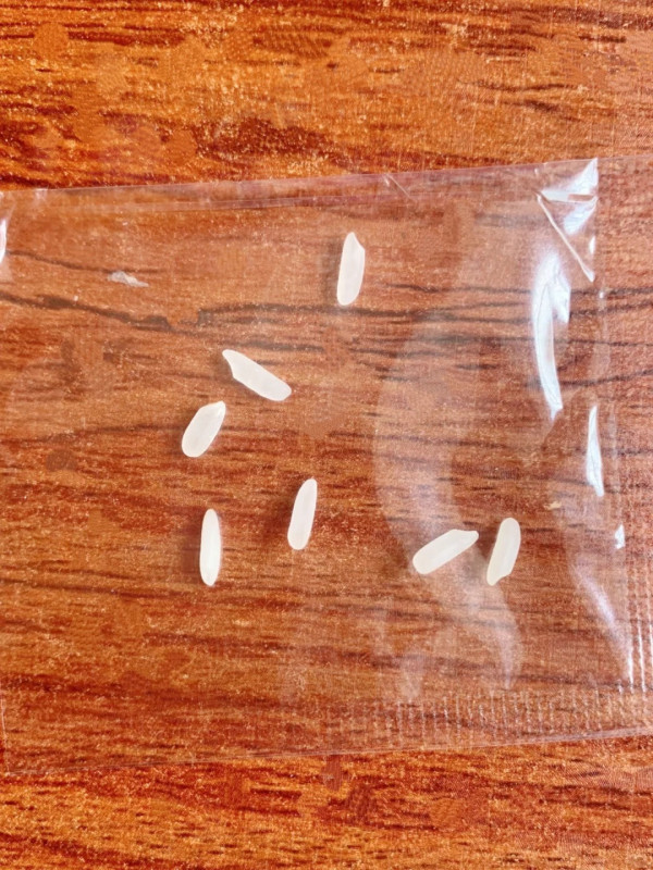 招財風水！出門左袋放7粒米催旺偏財？揭1正確動作吸貴人