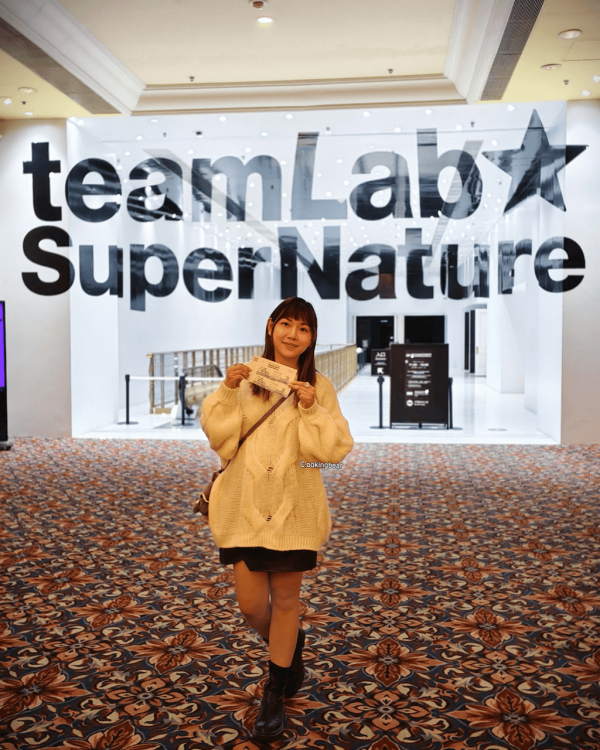 【澳門一日遊】澳門快閃行程路線推介 打卡teamLab/迪士尼嘉年華/雙皮奶始祖