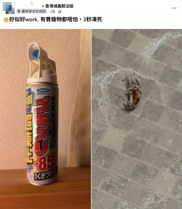 夏日必备！港人热捧日本制“-85度极冻杀虫喷雾”！宠物无害 3秒冻死小强！网友教这招低成本一样有效