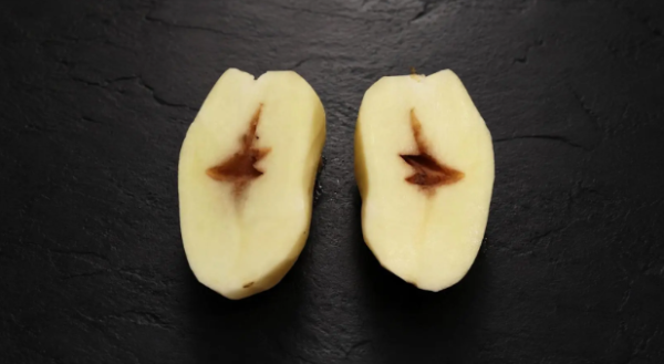 【揀薯仔貼士】買薯仔只睇外表？專家教路3招憑肉眼/手感揀出靚薯仔 越墜手代表越好食！