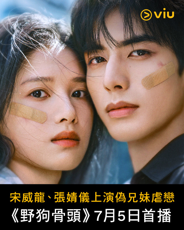 野狗骨頭線上看｜宋威龍x張婧儀Viu同步播出！追劇日曆/更新時間/人物關係圖