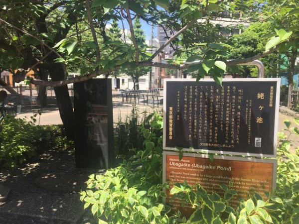 圖片來源:jalan.net 日本都市傳說|東京淺草寺旁藏恐怖故事!借宿即消失孤屋傳說大型繪馬也記載