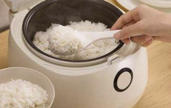 自查廚房陷阱 電飯煲用錯驚爆變「細菌天堂」重新加熱到100°C都殺唔死 【揭4大致癌壞習慣】
