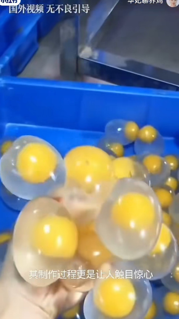 人造蛋似膠已流入市面？專家踢爆世紀謠言：假蛋製造成本高過真蛋幾倍／附揀靚雞蛋3招