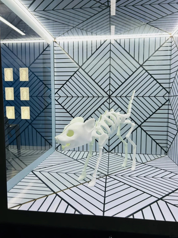 圖片來源:小紅書@深乐小探 深圳親子室內展覽館6大推介!科技/藝術/互動體驗夏日避暑必去 附地址交通