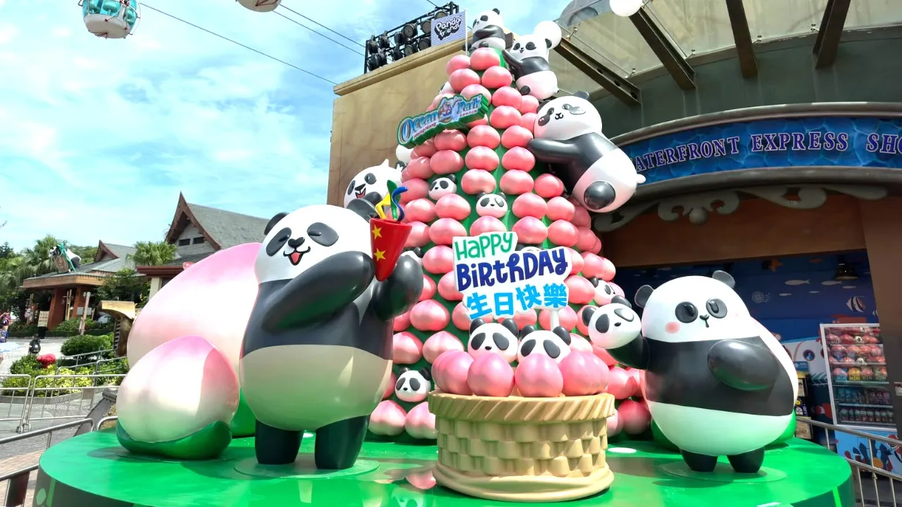 大熊猫生日大派对(来源:海洋公园)