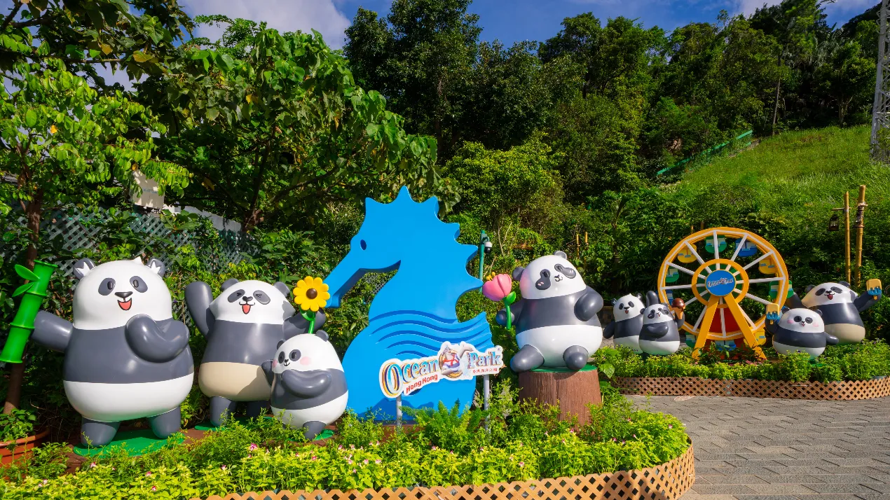 大熊猫生日大派对(来源:海洋公园)