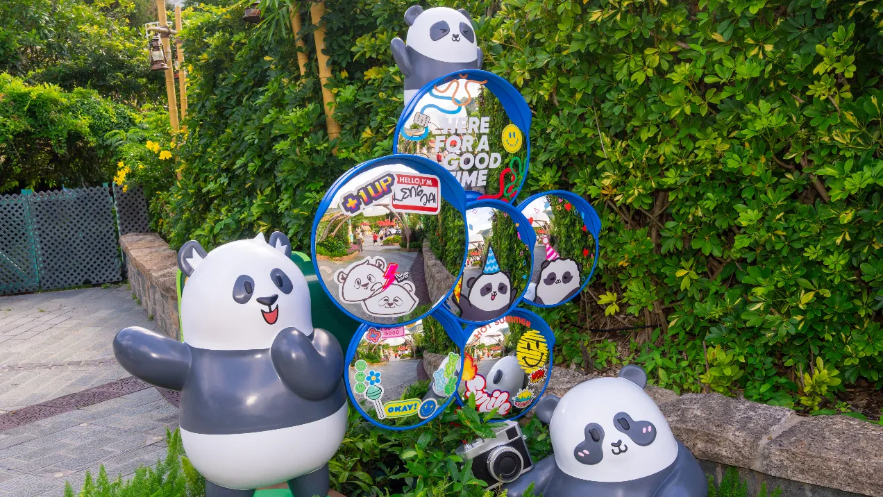 大熊猫生日大派对(来源:海洋公园)