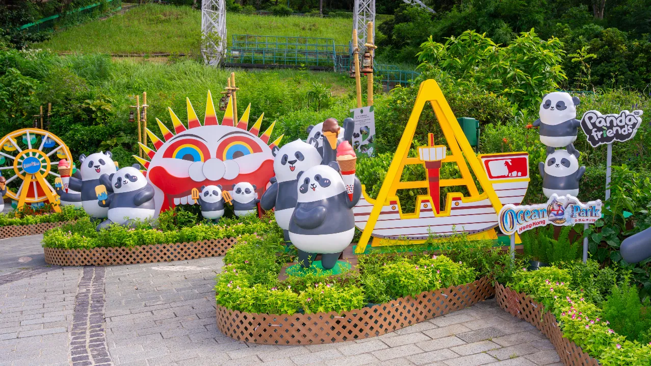 大熊猫生日大派对(来源:海洋公园)