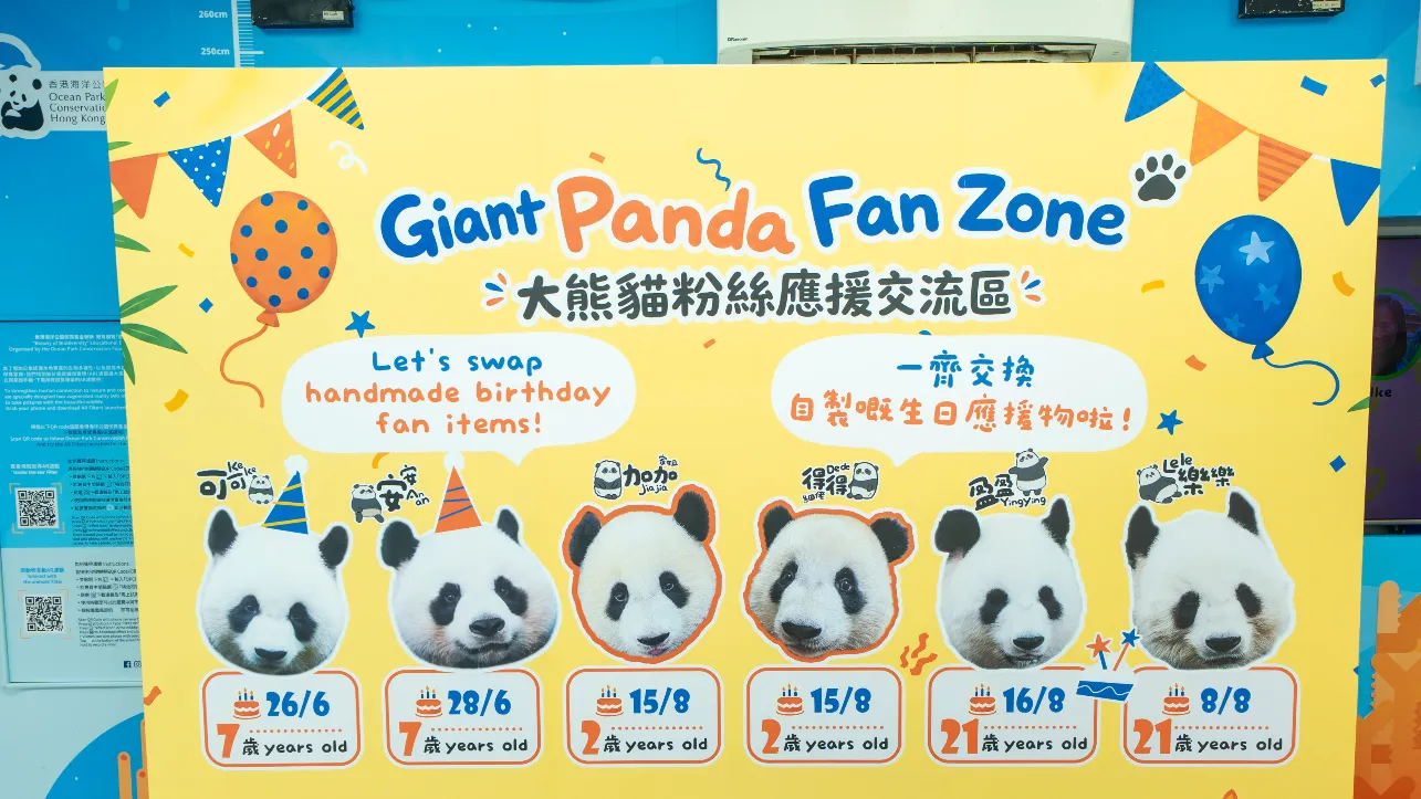 大熊猫生日大派对(来源:海洋公园)