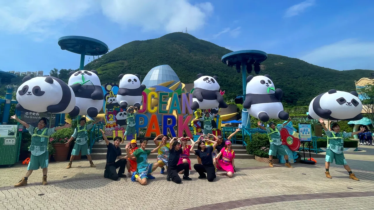 大熊猫生日大派对(来源:海洋公园)