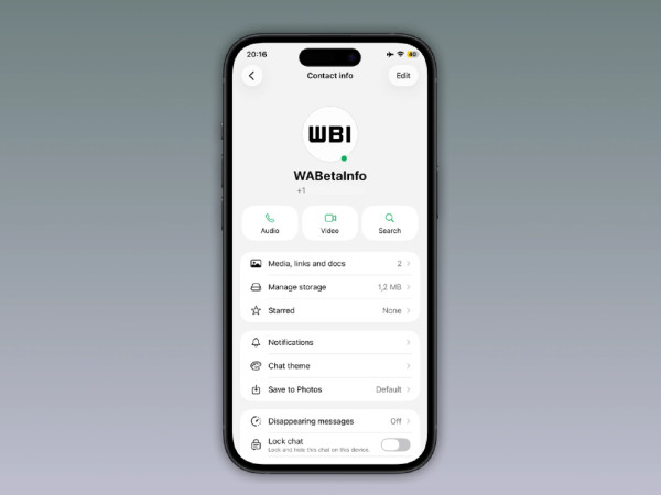 WhatsApp加入Online綠點！實時顯示聯絡人狀態扮唔Active點算？保私隱有法附設定教學 