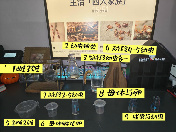 滅床蝨｜快遞紙皮係惹蝨元兇？滅蟲專家實測怕光弱點 靠1招斷糧空城計全滅