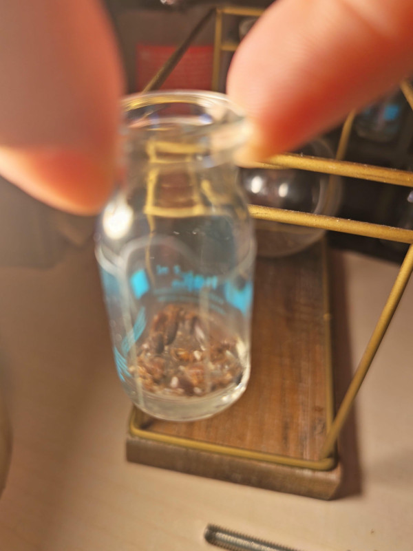 滅床蝨｜快遞紙皮係惹蝨元兇？滅蟲專家實測怕光弱點 靠1招斷糧空城計全滅