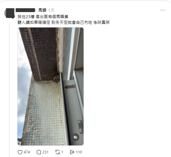 23樓窗外驚現馬蜂巢！網民教津路水炮射走 專家警告危險附正確處理法