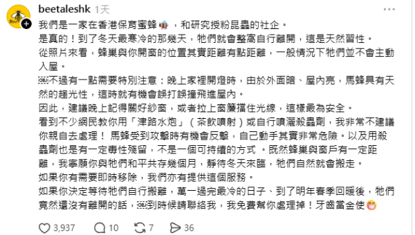 23樓窗外驚現馬蜂巢！網民教津路水炮射走 專家警告危險附正確處理法