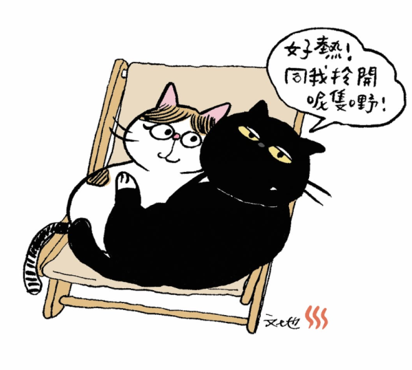 「懷舊喵影樓」聯乘插畫家「文地貓」展現港式風情（圖片來源︰IG@mandycats）