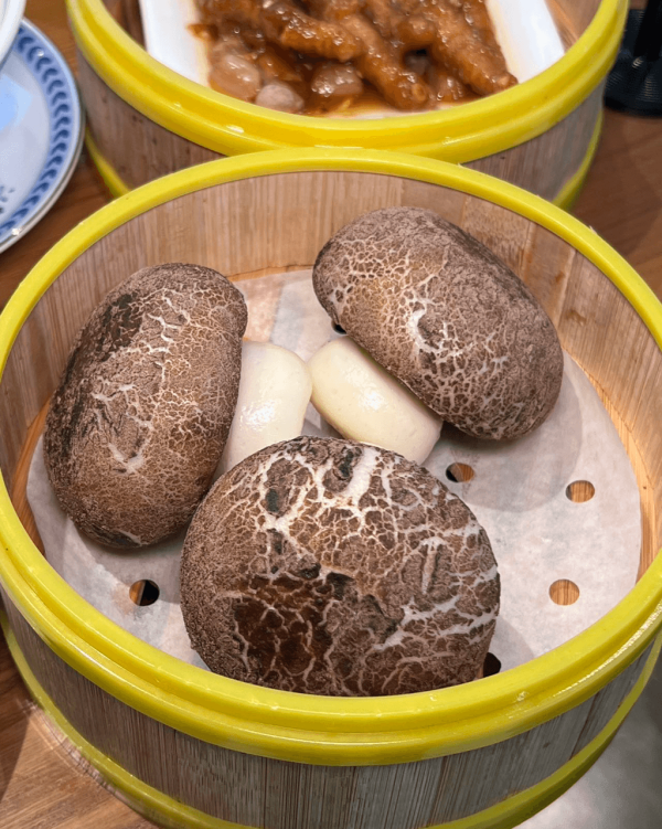 【深圳甜品2026】深圳8間特色糖水店推介 ¥15起食姜汁撞奶/超大芒果糯米糍/日式綿綿冰