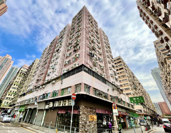 大同新邨、富多來新邨 及 必發台 樓齡均已接近 50 年，會所配套欠奉。不過，勝在上車門檻非常親民，而且大廈樓下街坊食肆林立，生活與交通起居便利。網民特別提醒，買家在「執平貨」前必須預留一筆充足預算，以承擔大廈未來可能隨時開展的強檢與「維修大嘥」費用。 圖片為大同新邨；來源：Google Maps