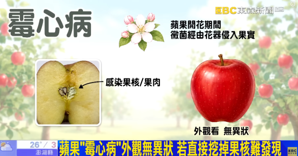 蘋果切開驚見白絲爛心或染「霉心病」 醫生警告：切走發霉繼續食隨時食物中毒！