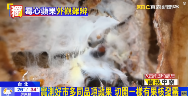 蘋果切開驚見白絲爛心或染「霉心病」 醫生警告：切走發霉繼續食隨時食物中毒！