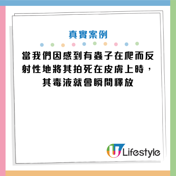 夏天常见隐翅虫别乱拍！男子误拍后皮肤遭强酸腐蚀 名医教路用这招保命