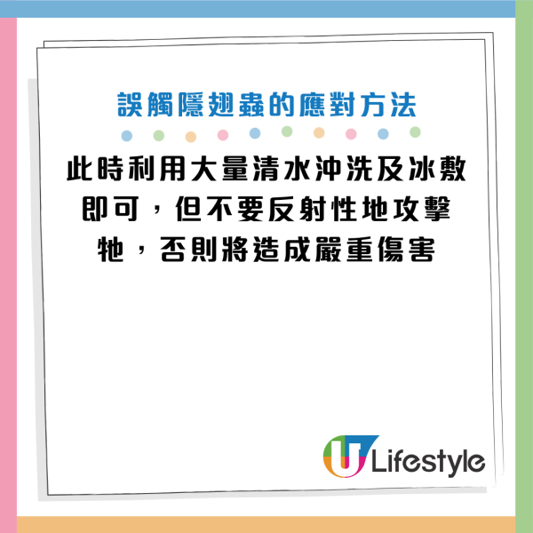 夏天常见隐翅虫别乱拍！男子误拍后皮肤遭强酸腐蚀 名医教路用这招保命
