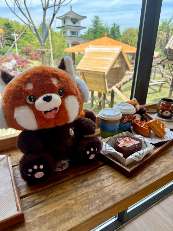 圖片來源:小紅書@嘿!大猫 江蘇常州茅山夜漂星河水景遊玩攻略!小動物互動/越野車體驗/日夜雙漂