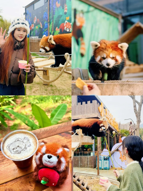 圖片來源:小紅書@茅山森林世界 江蘇常州茅山夜漂星河水景遊玩攻略!小動物互動/越野車體驗/日夜雙漂