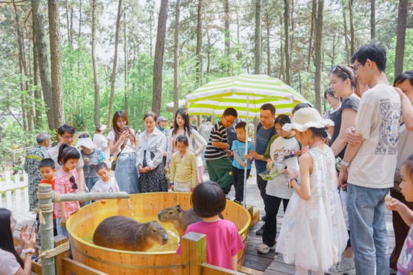 江蘇常州茅山夜漂星河水景遊玩攻略！小動物互動/越野車體驗/日夜雙漂 