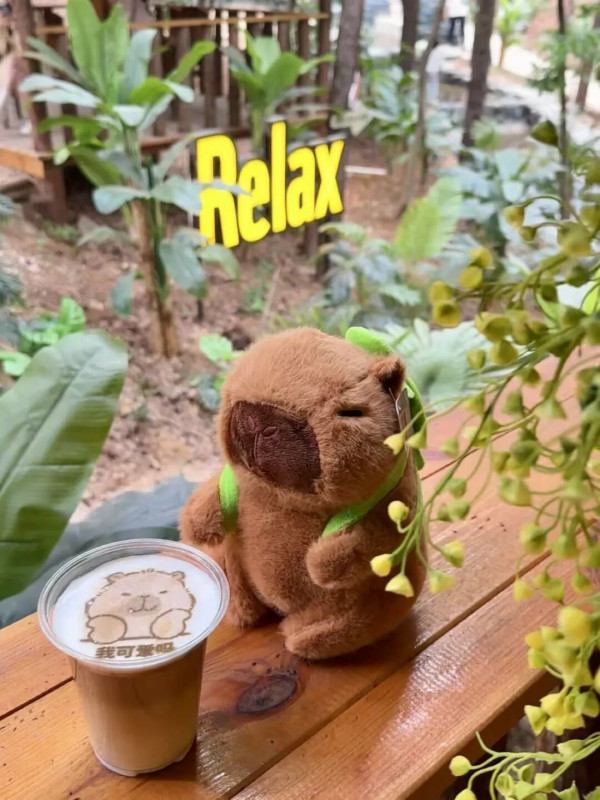 江蘇常州茅山夜漂星河水景遊玩攻略！小動物互動/越野車體驗/日夜雙漂 