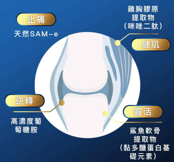 足球熱潮燒到埋身！想重拾運動熱情，偏偏關節唔聽話？星級用家胡諾言分享修補膝頭關節秘密