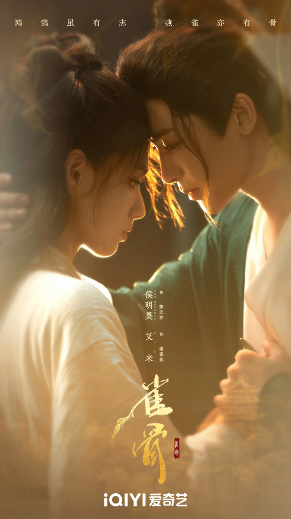 《鹊桥》线上看|侯明昊x艾米剧情5大看点+演员阵容!追剧日历集数更新时间一览