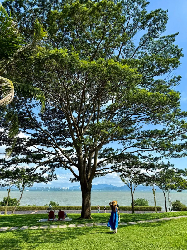 深圳5大免費「山海美學」好去處！輕鬆打卡山海與城市天際線、附機位推薦 