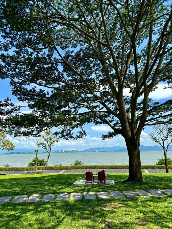 深圳5大免費「山海美學」好去處！輕鬆打卡山海與城市天際線、附機位推薦 