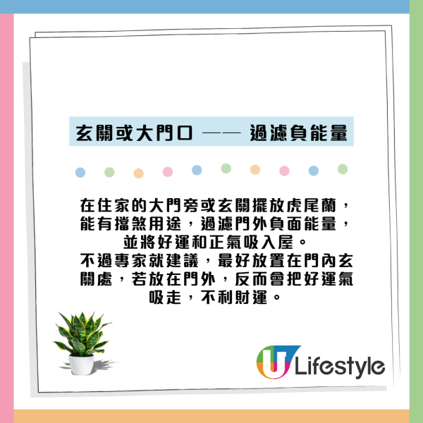 虎尾蘭放錯位置反吸走好運氣？揭全能空氣淨化功效 擺對5大風水財位易催旺！